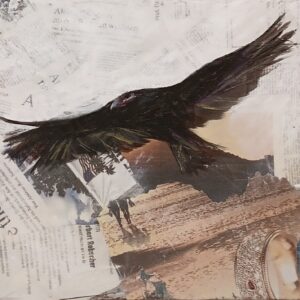 Truthahngeier, Mixed, wasserlösliche Ölkreide auf Zeitung/Leinwand, 40 x 40 cm, 2024