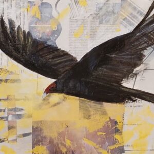 Truthahngeier, Mixed Media, Ölfarbe und wasserlösliche Ölkreide auf Zeitung/Leinwand, 40 x 40 cm, 2024