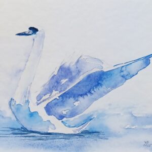 Schwan in Blau, Aquarell, 24 x 17 cm, 2025